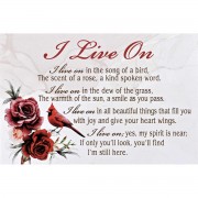 24pk -Itty Bitty Card Cardinal I Live On - (Pack of 24)