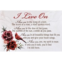 24pk -Itty Bitty Card Cardinal I Live On - (Pack of 24) 24pk -Itty Bitty Card Cardinal I Live On - (Pack of 24)