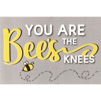 24pk -Itty Bitty Blessings YOU ARE THE BEE'S KNEES PAPER 2X3 - (Pack of 24) 24pk -Itty Bitty Blessings YOU ARE THE BEE'S KNEES PAPER 2X3 - (Pack of 24)