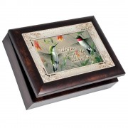 HUMMINGBIRDS IMB