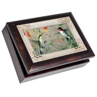 HUMMINGBIRDS IMB SCRIPT