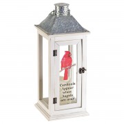 CARDINALS APPEAR LANTERN WHITE 17" CARDINALS APPEAR LANTERN WHITE 17"