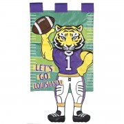 2pk -Crazy Leg Tiger Lets Go Football - (Pack of 2)