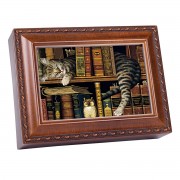 Cat Sleeping In Library Musical Box Cat Sleeping In Library Musical Box