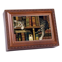 Cat Sleeping In Library Musical Box