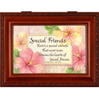 SPECIAL FRIENDS W/G M/BOX