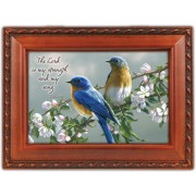 WATCHFUL BIRDS M/B SCPT WG