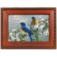 WATCHFUL BIRDS M/B SCPT WG