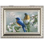 WATCHFUL BIRDS M/B SCRP CS