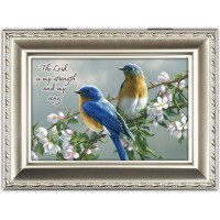 WATCHFUL BIRDS M/B SCRP CS WATCHFUL BIRDS M/B SCRP CS