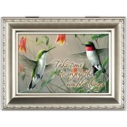 HUMMINGBIRDS CS M/BOX