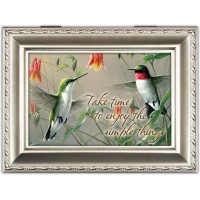 HUMMINGBIRDS CS M/BOX