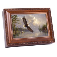 SUMMERTIME EAGLE WG M/BOX