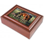 PRETTY AS A PICTURE WG M/BOX PRETTY AS A PICTURE WG M/BOX
