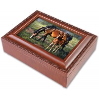 PRETTY AS A PICTURE WG M/BOX