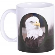 2pk -Mug Ceramic Eagle Isaiah 40:31 11oz - (Pack of 2)