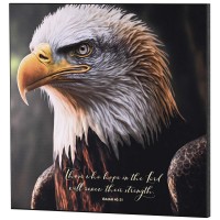 Wall Plaque Those Who Hope In The Lord