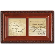 WINGS OF GOLD SC WG PM