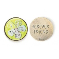 6pk -Pocket Stone Forever Friend Prov 17:17 - Pack of 6