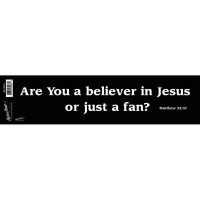 6pk -BUMP-VINYL-ARE YOU A BELIEVER - Pack of 6