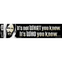 6pk -BUMP-MYLAR-IT'S NOT WHAT YOU - Pack of 6