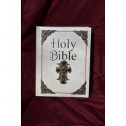 Catholic Family Bible-St Joseph NAB Ivory w/Brass Stampings/Red Stones
