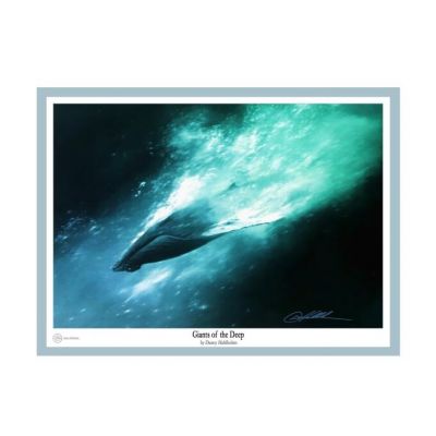 Giants of the Deep - Print by Danny Hahlbohm -  - Giants of the deep-33