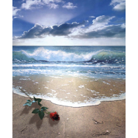 Gift from the Sea Gift from the Sea
