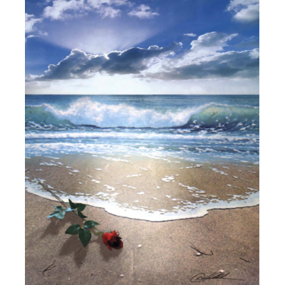 Gift from the Sea -  - gfts
