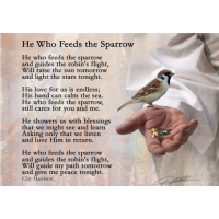 He Who Feeds the Sparrow - Art Print by Danny Hahlbohm