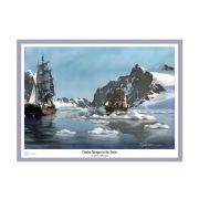 Morgan in the Arctic - Art Print by Danny Hahlbohm