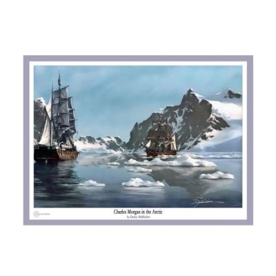 Morgan in the Arctic - Print by Danny Hahlbohm -  - Morgan in the Arctic-53