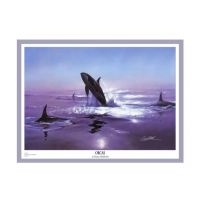 Orcas - Art Print by Danny Hahlbohm