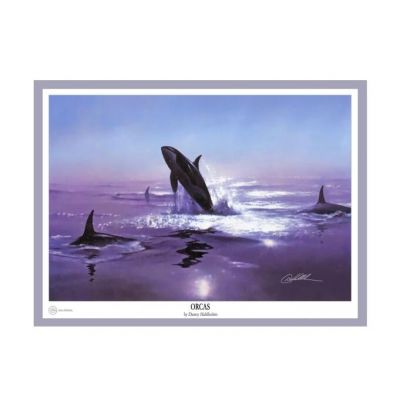 Orcas - Print by Danny Hahlbohm -  - Orcas-31