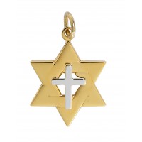 18" Ch G/ss Star Of David