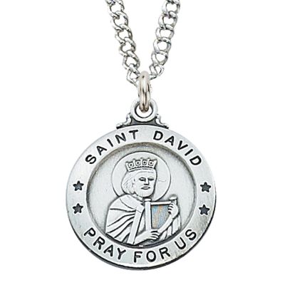 Sterling Silver Saint David 20 inch Necklace Chain & Box - 735365504084 - L600DV