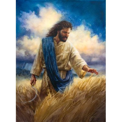 Reaping the Harvest Christian Art Print -  - APC3039