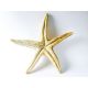 Starfish Giant Wall 30in. Fiber Stone Resin Indoor/Outdoor Statue -  - FS8428W