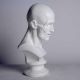 Anatomy Bust - Fiberglass Resin - Indoor/Outdoor Statue/Sculpture -  - DC563