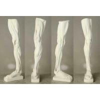 Anatomical Leg - Fiberglass Resin - Indoor/Outdoor Statue/Sculpture