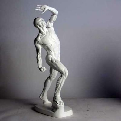 Anatomy Of Man 28in. Fiberglass - Indoor/Outdoor Garden Statue -  - DC109