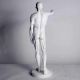 Anatomy Of Man 29in. Fiberglass - Indoor/Outdoor Garden Statue -  - DC110