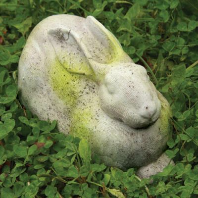 Charles Rabbit - Fiber Stone Resin - Indoor/Outdoor Statue/Sculpture -  - FS8655
