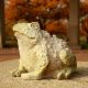 Croak Toad - Fiber Stone Resin - Indoor/Outdoor Statue/Sculpture -  - FS8670