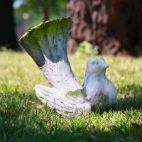 Decorative Dove - Fiber Stone Resin - Indoor/Outdoor Statue/Sculpture