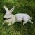 WHM - White Moss : OK Outdoor - Fiber Stone - (F8835)
