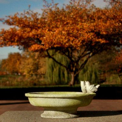 Finch Bird Bath 6in. Fiber Stone Resin Indoor/Outdoor Garden Statue -  - FS8301