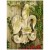 WHM - White Moss : OK Outdoor - Fiber Stone - (F7196)