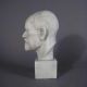 Freud Head On Block 14in. - Fiberglass - Indoor/Outdoor Statue -  - T6771