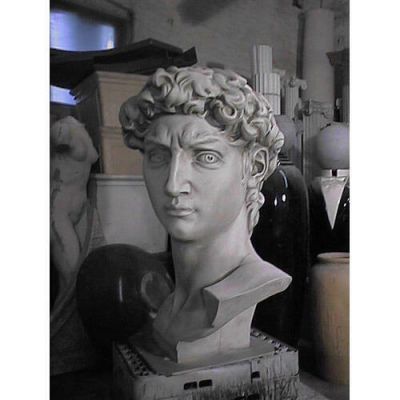 Head Of David From Original 48in. Fiberglass In/Outdoor Statue -  - F68976